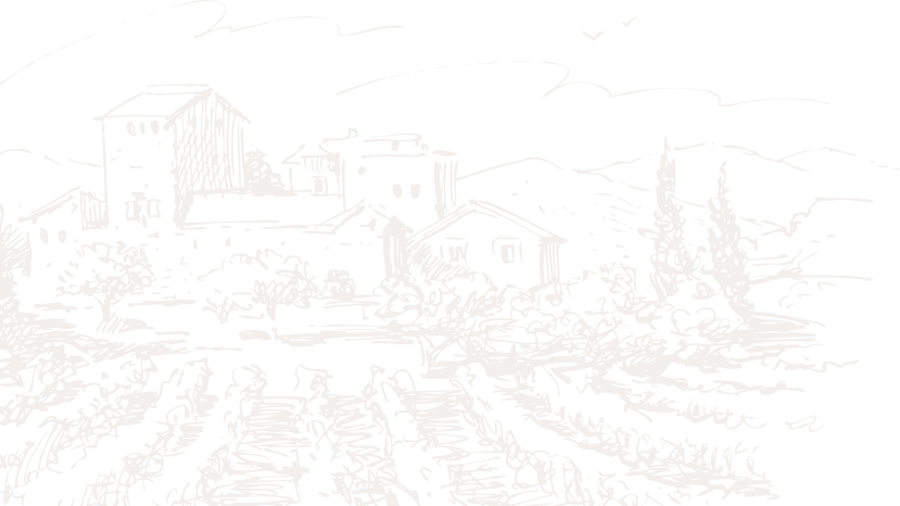 shape image