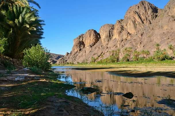 Fint Oasis – Ouarzazate’s Hidden Secret