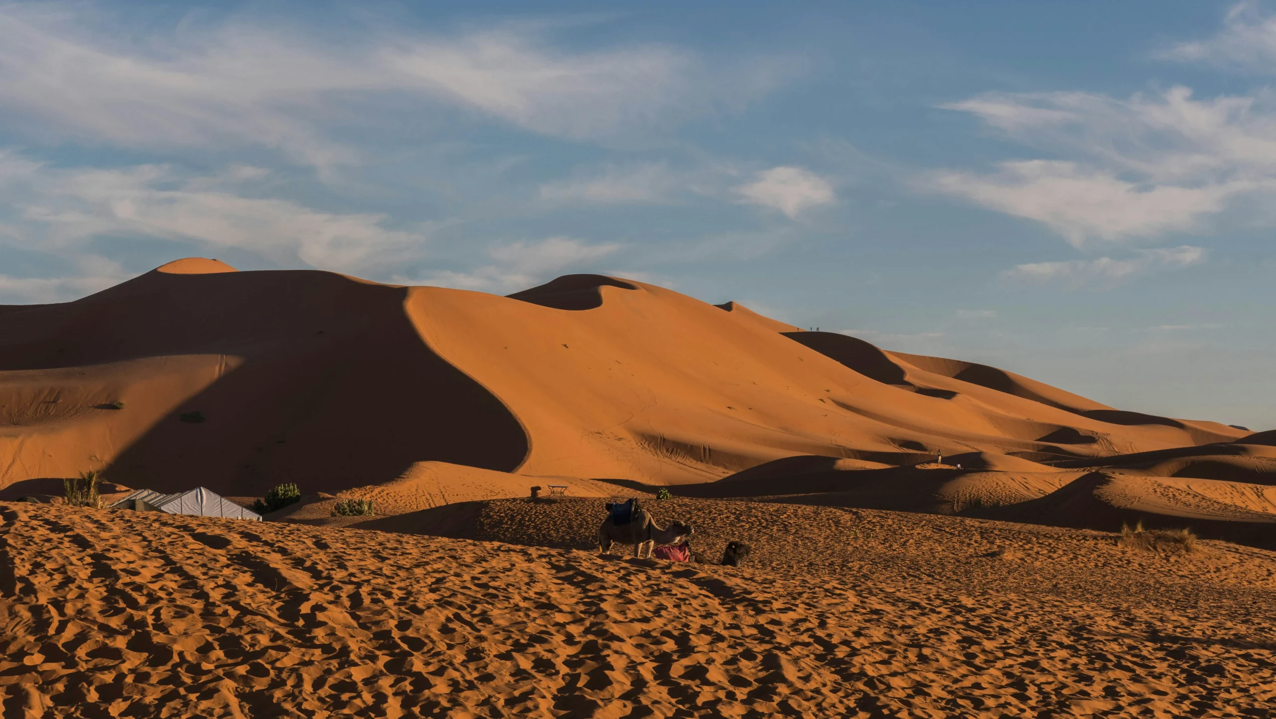 Wide golden shot of Erg Chebbi dunes at sunrise, tourists silhouetted on camelback, warm amber light, emotional and cinematic