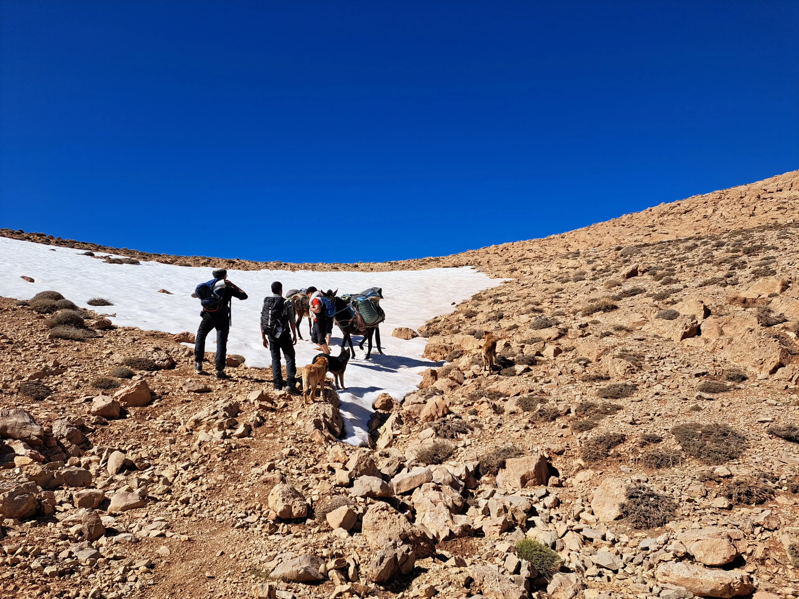Climbers hike through the High Atlas Mountains in Morocco accompanied by mountain guides.