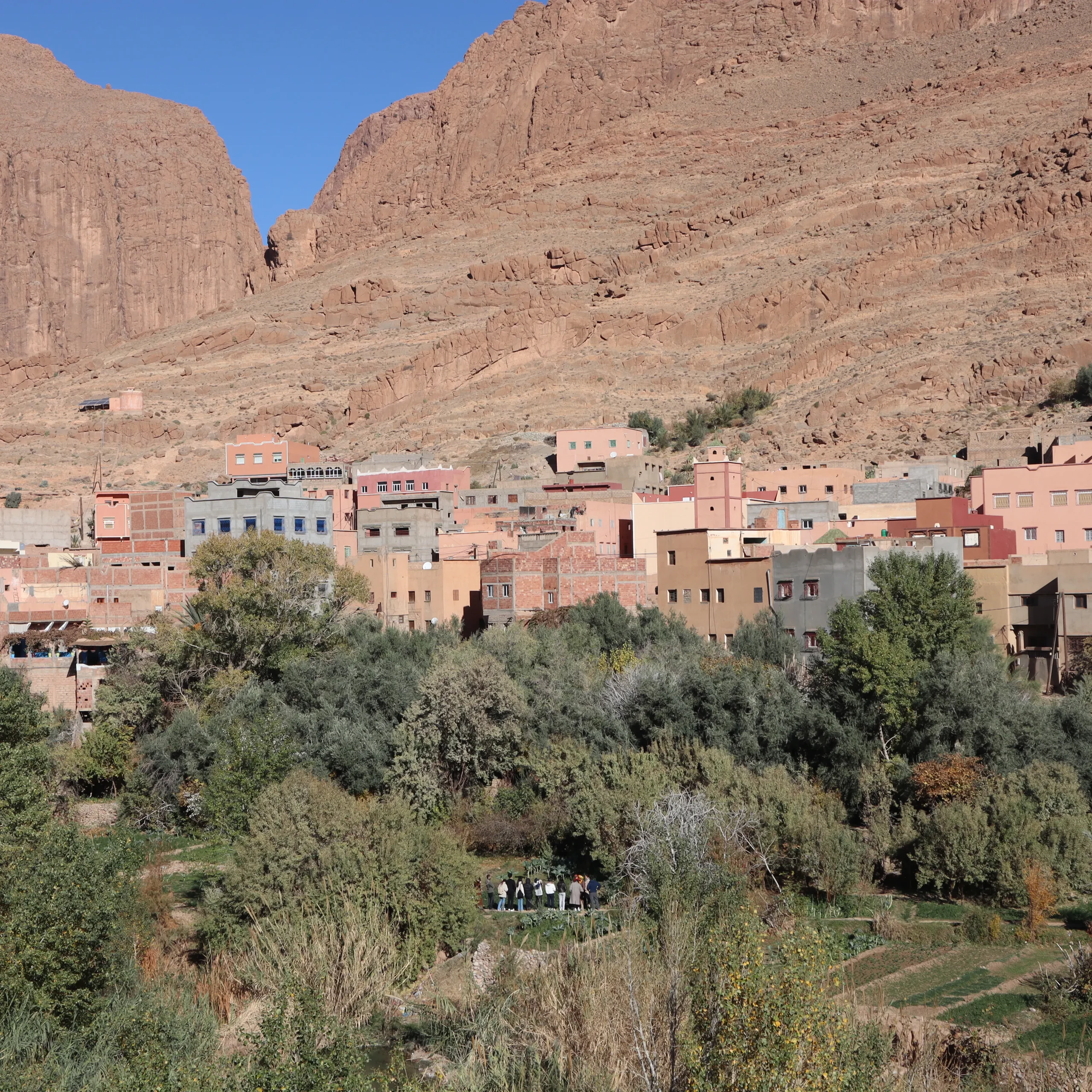 Tinghir Oasis A green paradise amidst the Atlas Mountains and the Sahara Desert