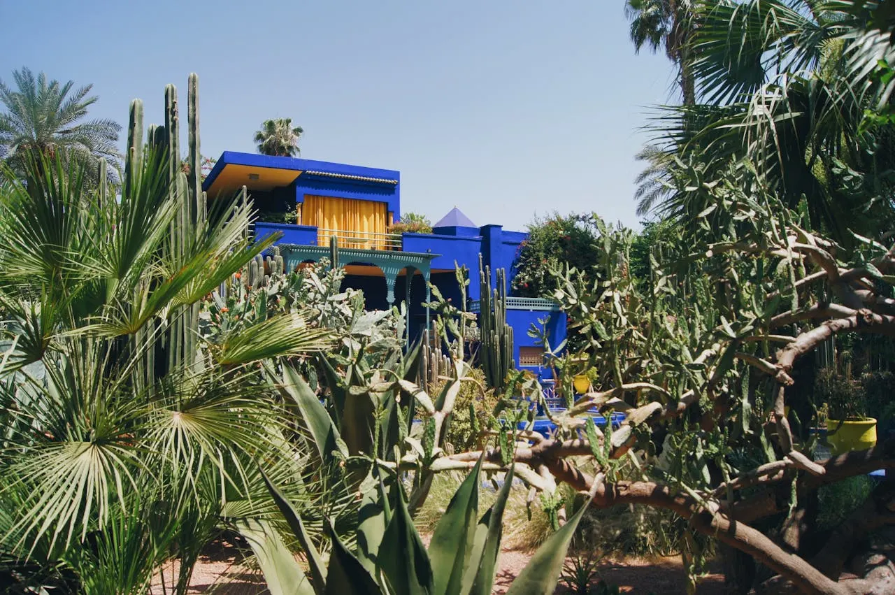 Serene pathways through Majorelle Garden with vibrant blue buildings and exotic plants in Marrakech