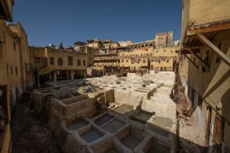 15 Best Things to Do in Fes, Morocco (2026 Local’s Guide)