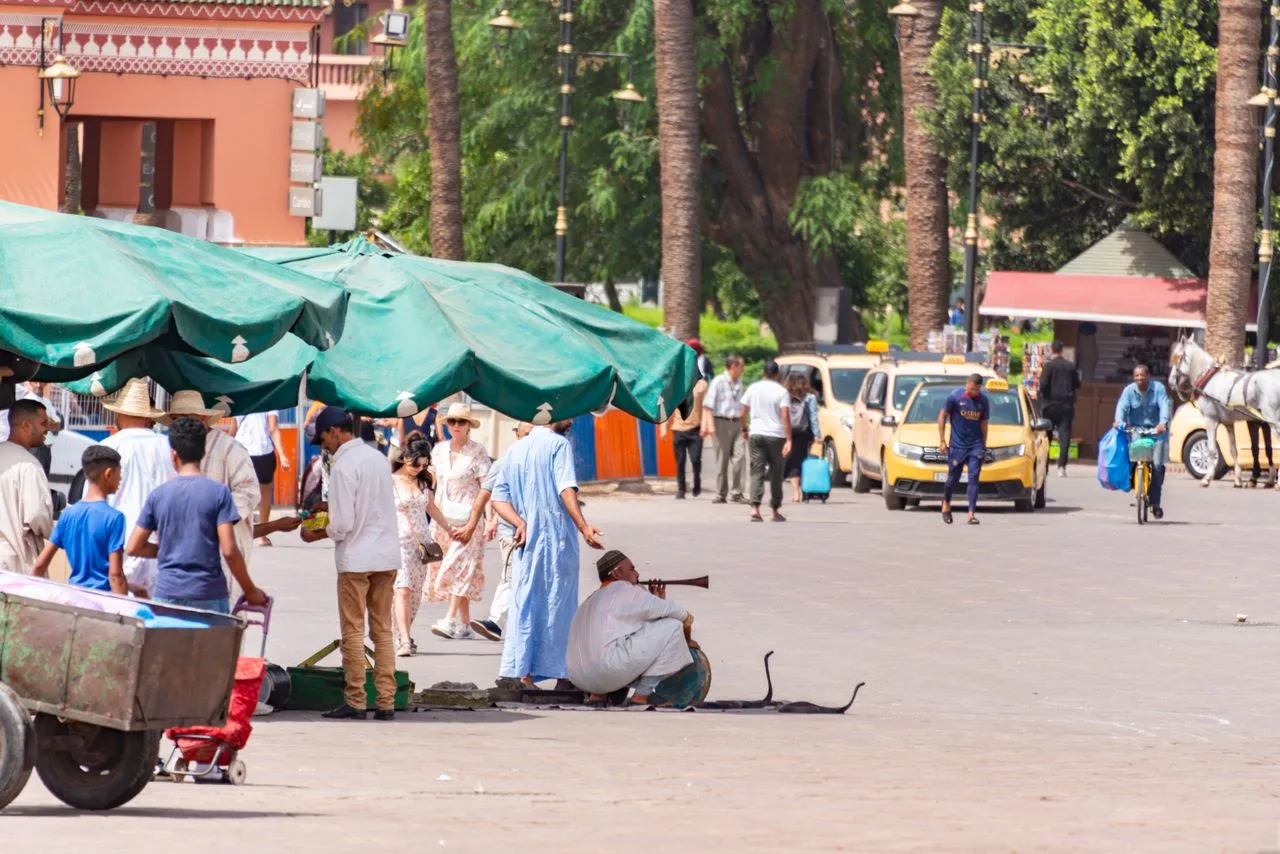 Marrakesh Travel Guide