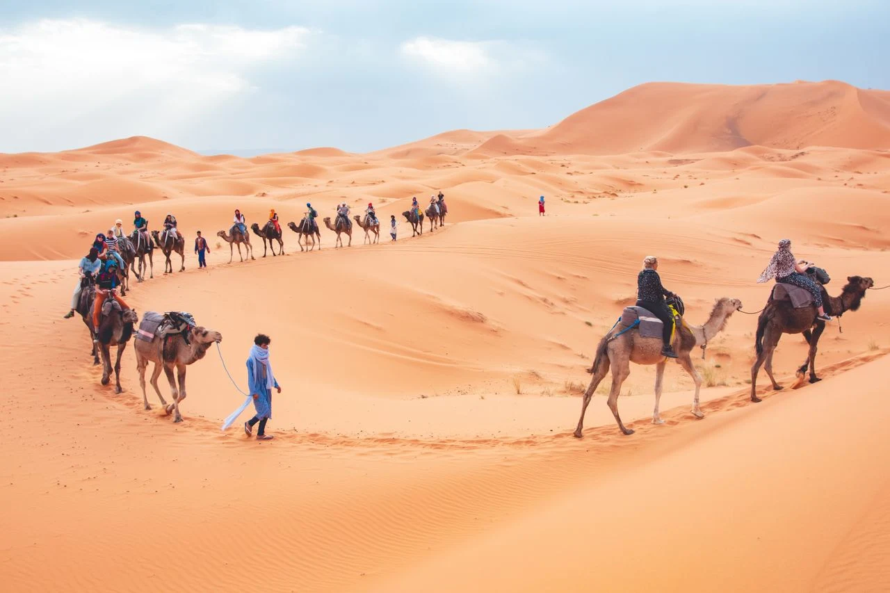 Ouarzazate & Merzouga Travel Guide